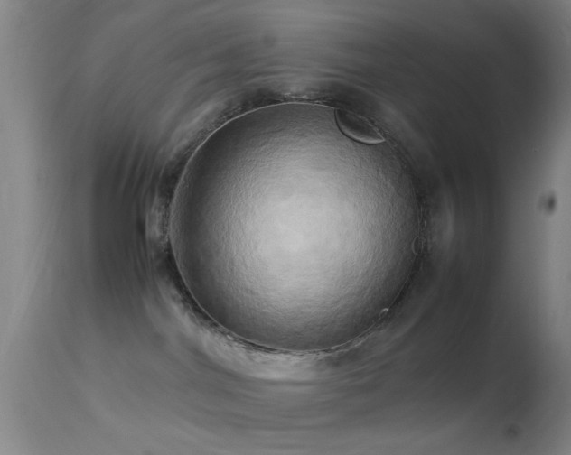 X0000113250044200909171636