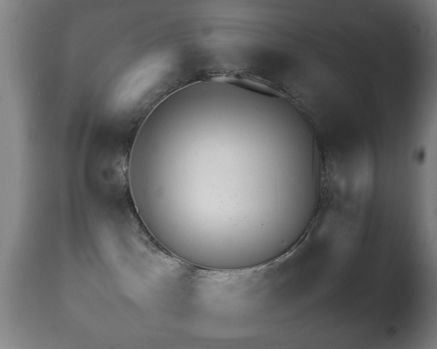 X0000113250045200909171636