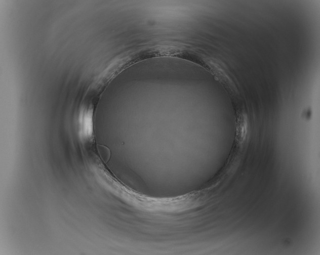 X0000113250046200909171636