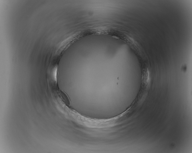 X0000113250047200909171636