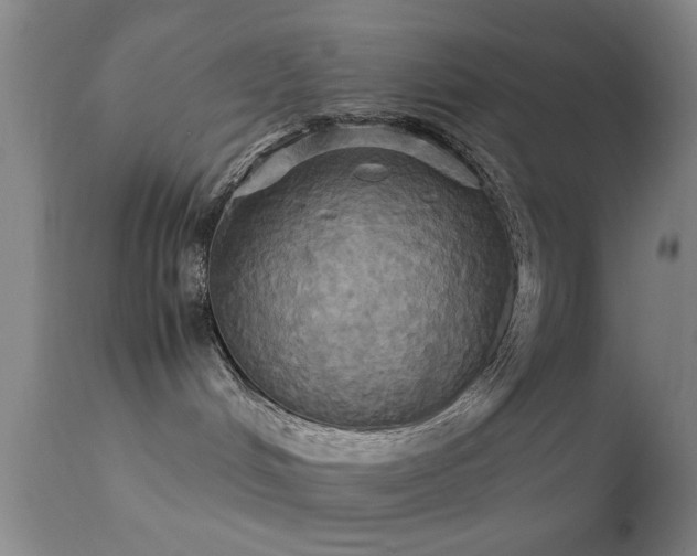 X0000113250048200909171636