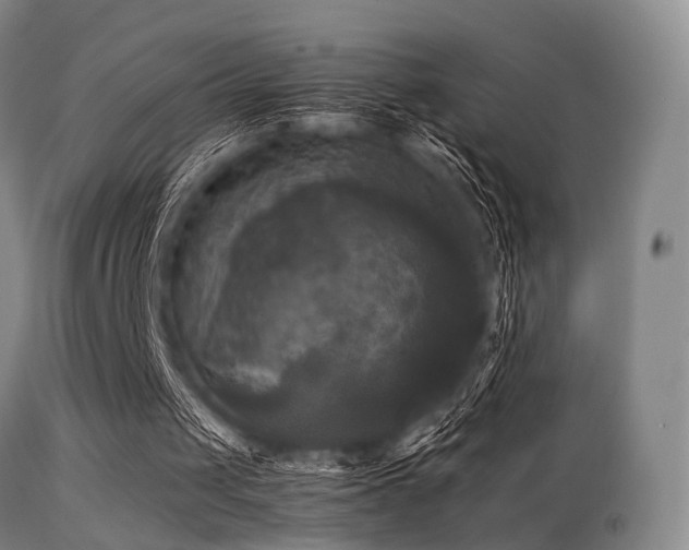 X0000113250049200909171635