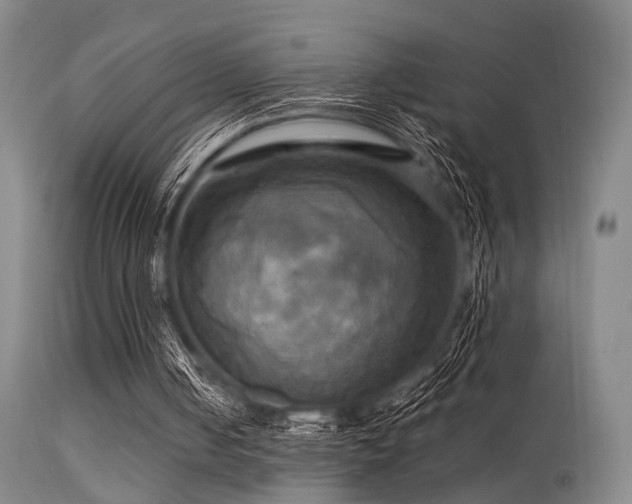 X0000113250050200909171635