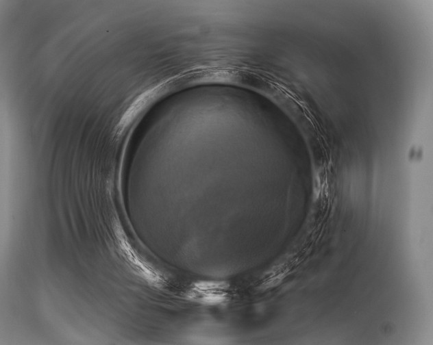 X0000113250051200909171635