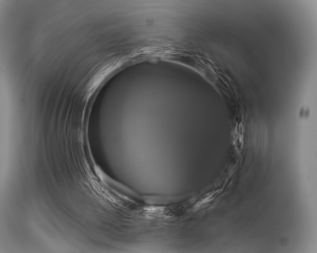 X0000113250052200909171635