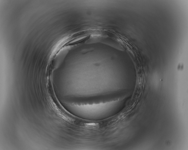 X0000113250053200909171635