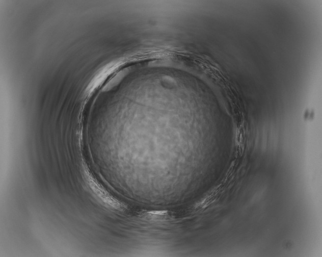 X0000113250054200909171635