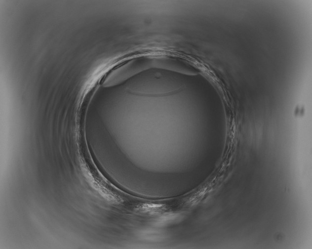 X0000113250055200909171635