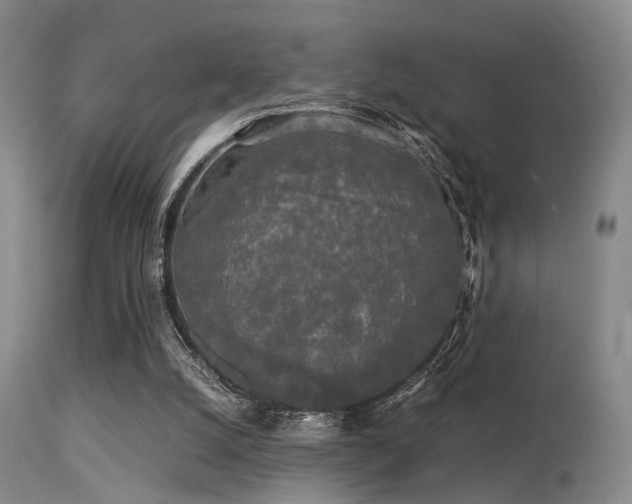 X0000113250056200909171635