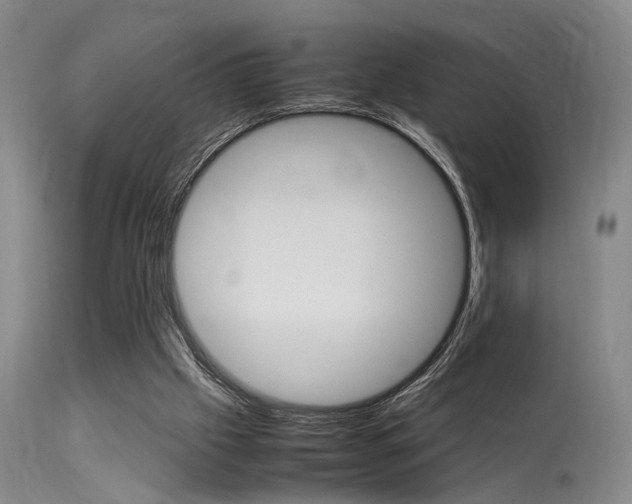 X0000113250057200909171635