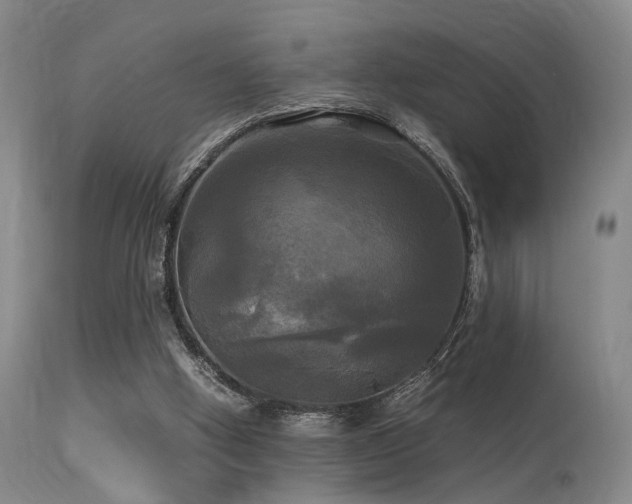 X0000113250058200909171635