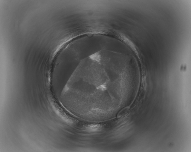 X0000113250059200909171635