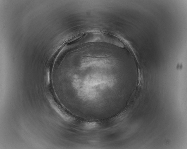 X0000113250061200909171635