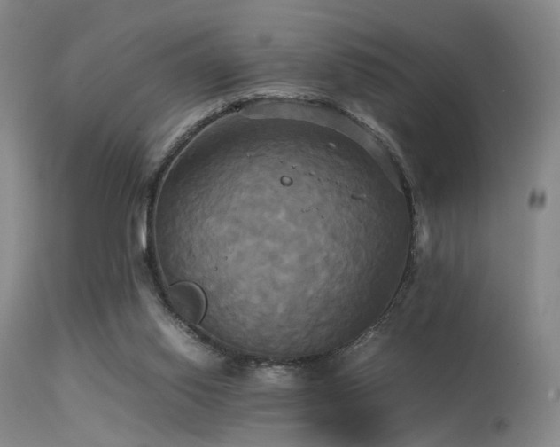 X0000113250062200909171635