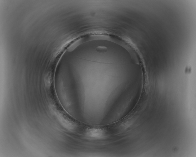 X0000113250063200909171635