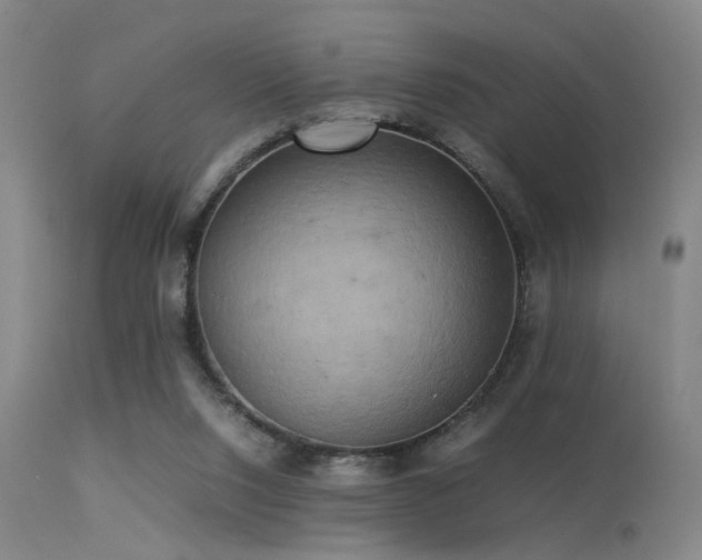 X0000113250064200909171635