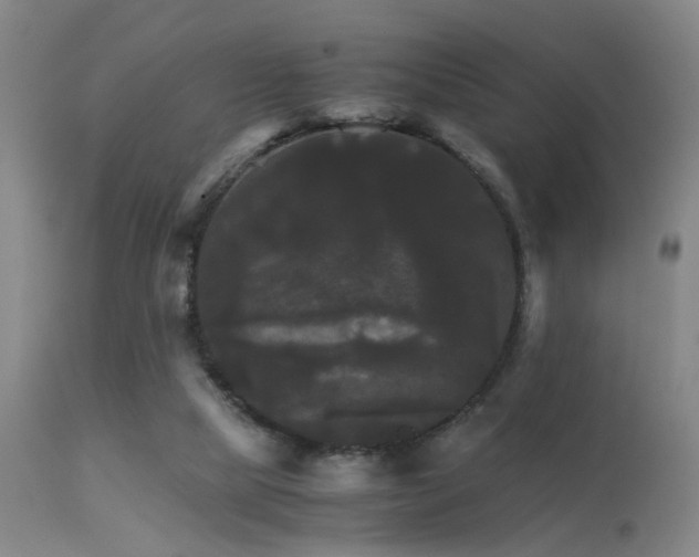 X0000113250065200909171635