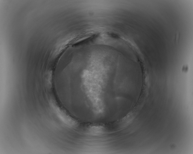 X0000113250066200909171635