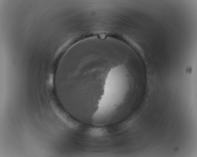 X0000113250067200909171635