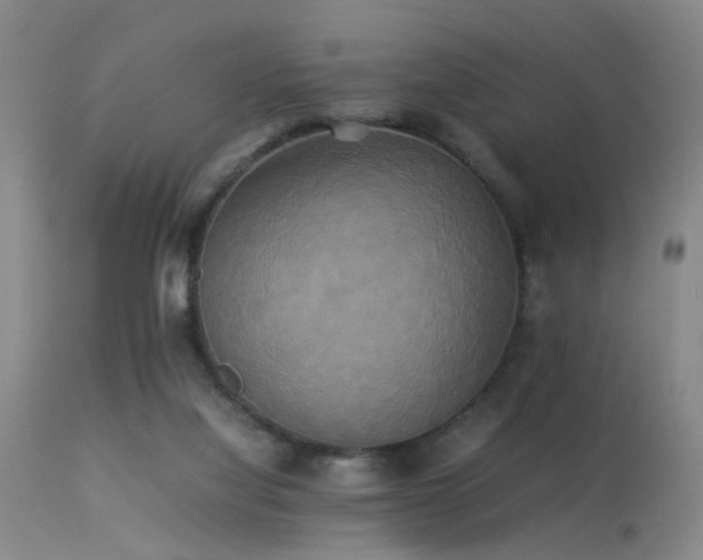 X0000113250068200909171635