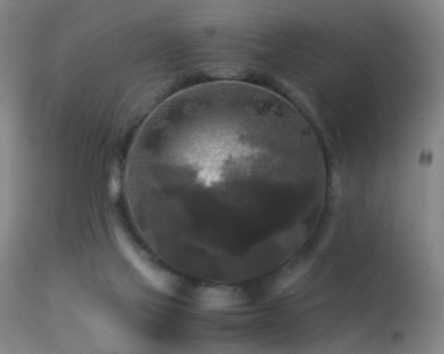 X0000113250069200909171636