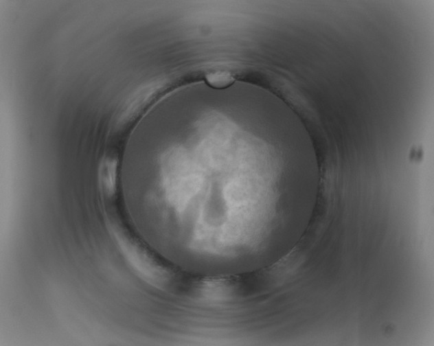 X0000113250070200909171636