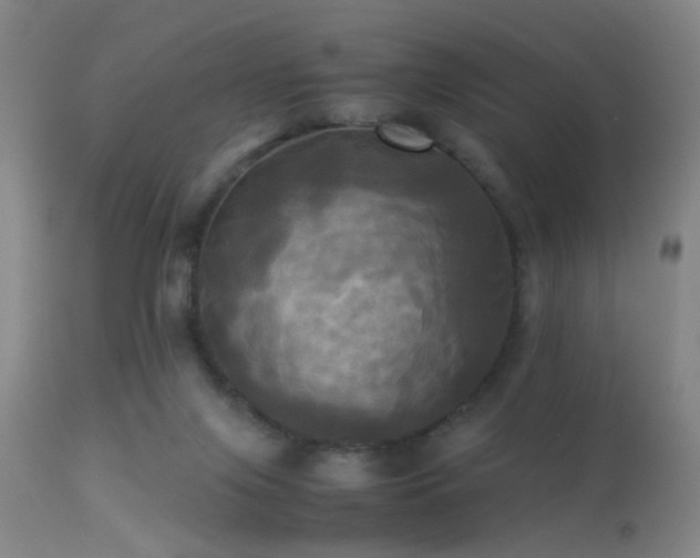 X0000113250071200909171636