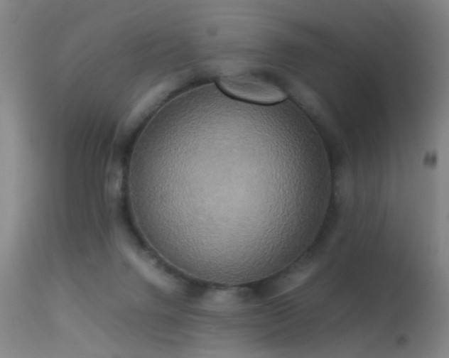 X0000113250072200909171636