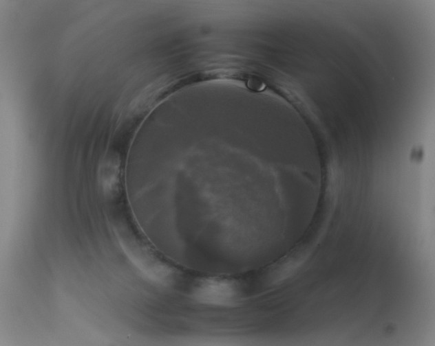 X0000113250073200909171636