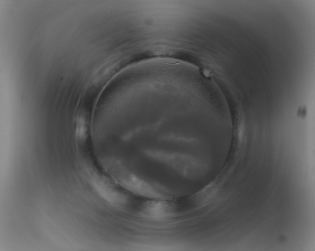 X0000113250074200909171636