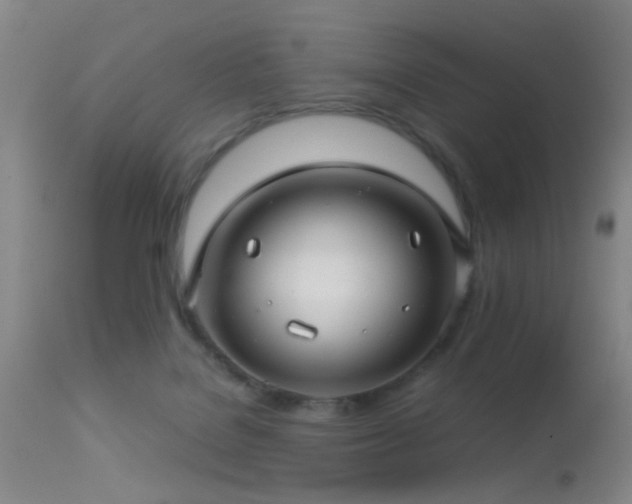 X0000113250076200909171636