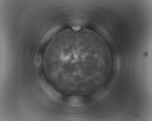 X0000113250077200909171636