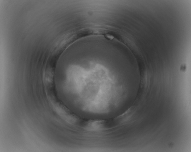 X0000113250078200909171636