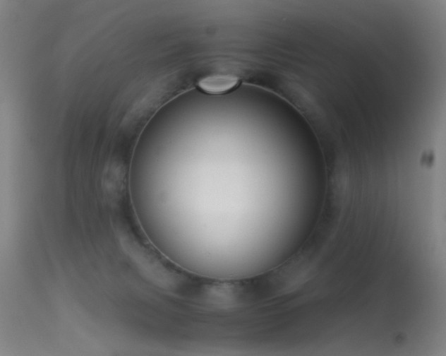 X0000113250079200909171636