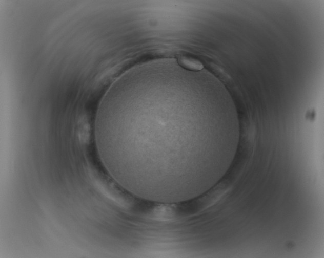 X0000113250080200909171636