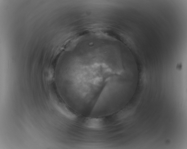 X0000113250081200909171636