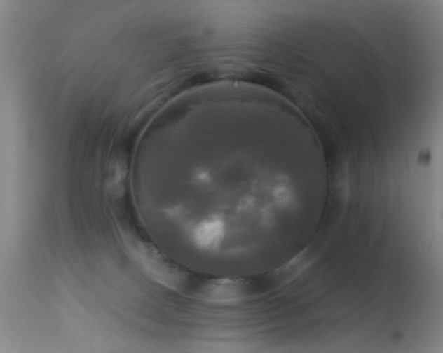 X0000113250082200909171636