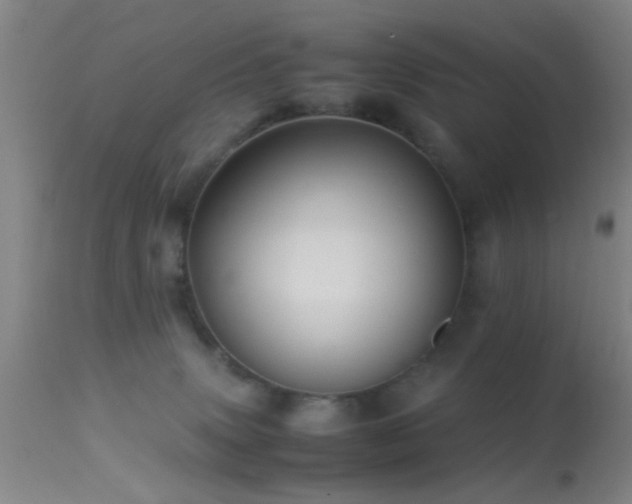 X0000113250083200909171636