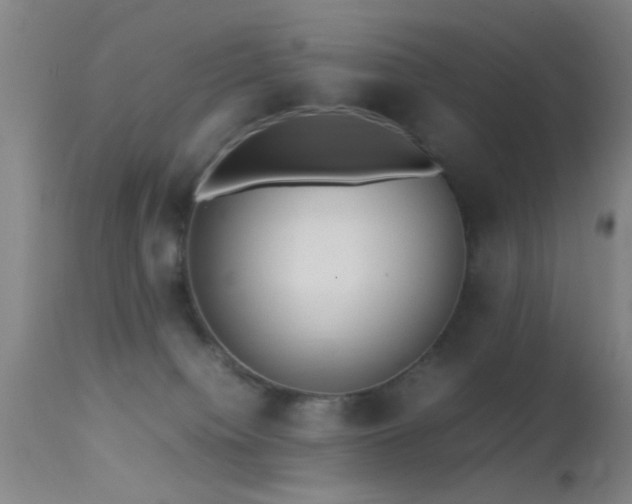 X0000113250084200909171636