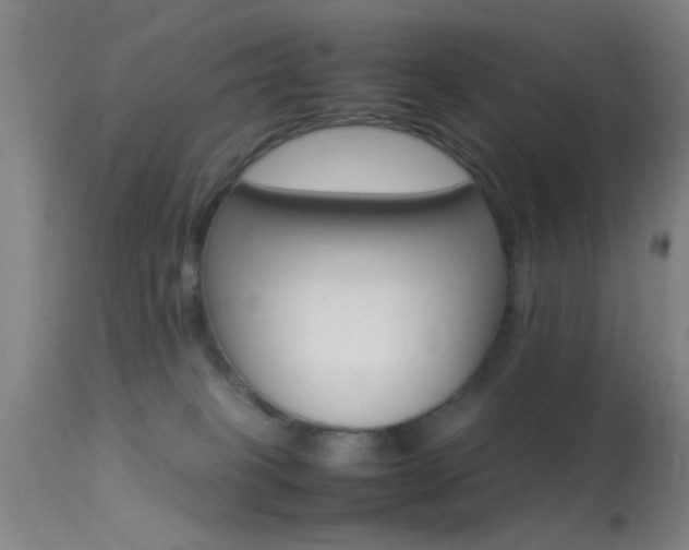 X0000113250085200909171636