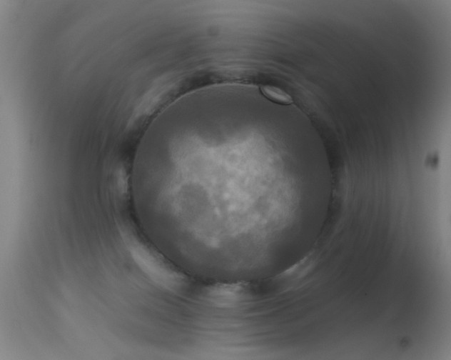 X0000113250086200909171636