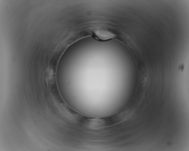 X0000113250087200909171636