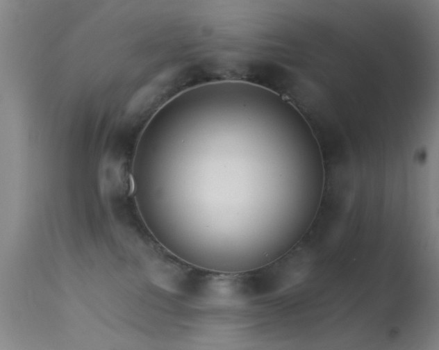 X0000113250088200909171636