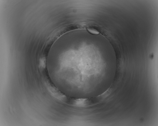 X0000113250090200909171636