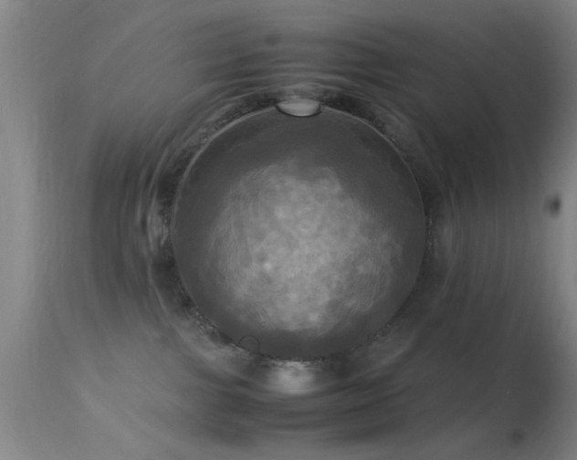 X0000113250091200909171636