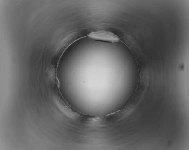 X0000113250092200909171636