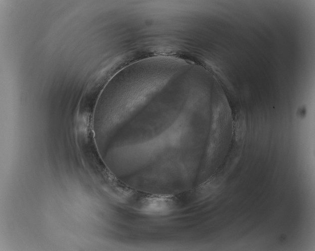 X0000113250093200909171636