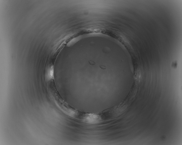 X0000113250095200909171636