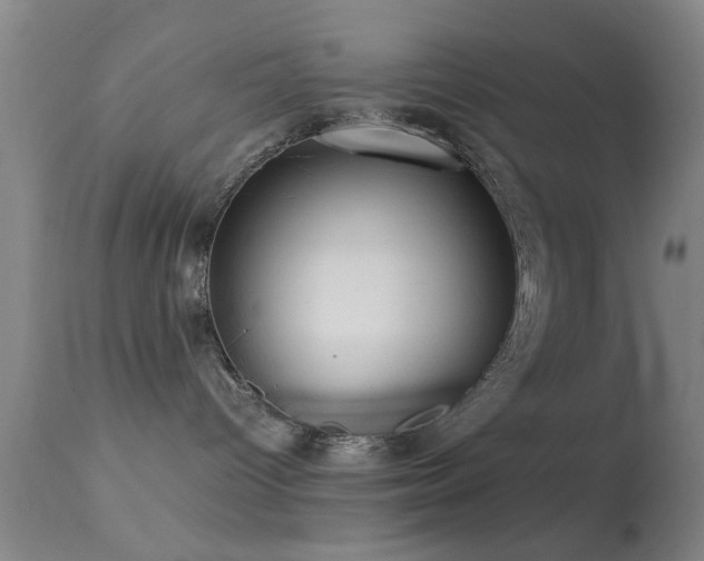 X0000113250096200909171636