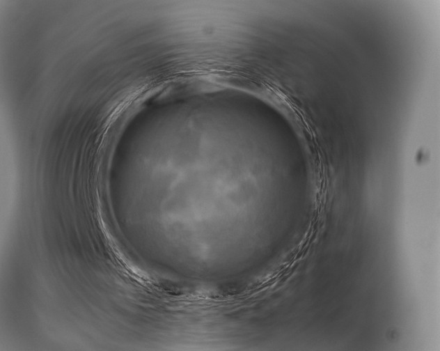 X0000113250097200909171635